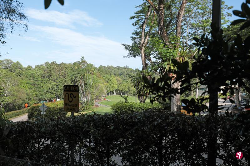 代号A1-W1的工地原本设于岛屿俱乐部路附近,不过自然组织担心,这会阻碍叶猴和其他野生动物往来丛林和温莎自然公园之间觅食,陆交局因此决定把A1-W1工地迁移至新加坡岛屿乡村俱乐部范围内。(林国明摄) 代号A1-W1的工地原本设于岛屿俱乐部路附近,不过自然组织担心,这会阻碍叶猴和其他野生动物往来丛林和温莎自然公园之间觅食,陆交局因此决定把A1-W1工地迁移至新加坡岛屿乡村俱乐部范围内。(林国明摄)