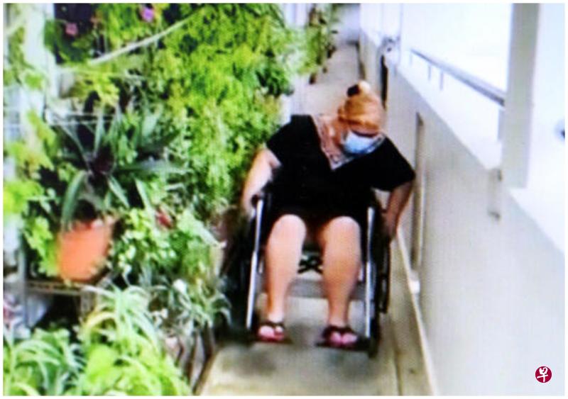 由于盆栽枝繁叶茂,江美玲坐轮椅经过该户人家时常会被卡住,必须花上1分钟才能通过此单位。 由于盆栽枝繁叶茂,江美玲坐轮椅经过该户人家时常会被卡住,必须花上1分钟才能通过此单位。