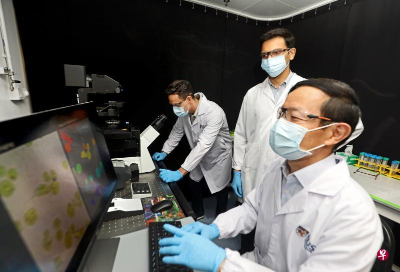 研发新技术的团队成员包括国大医疗健康创新与科技研究院院长林水德教授(右起)、国大工程学院生物医学工程系研究员乔坤·沙马博士,以及国大医疗健康创新与科技研究院研究员优里·贝洛蒂博士。(严宣融摄) 研发新技术的团队成员包括国大医疗健康创新与科技研究院院长林水德教授(右起)、国大工程学院生物医学工程系研究员乔坤·沙马博士,以及国大医疗健康创新与科技研究院研究员优里·贝洛蒂博士。(严宣融摄)