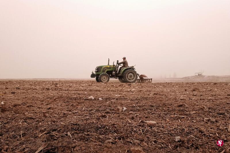 中国大陆11个部门出台22条措施,支持台企参与大陆农林发展。图为甘肃省张掖一名农民昨天驾驶拖拉机耕田。(法新社) 中国大陆11个部门出台22条措施,支持台企参与大陆农林发展。图为甘肃省张掖一名农民昨天驾驶拖拉机耕田。(法新社)