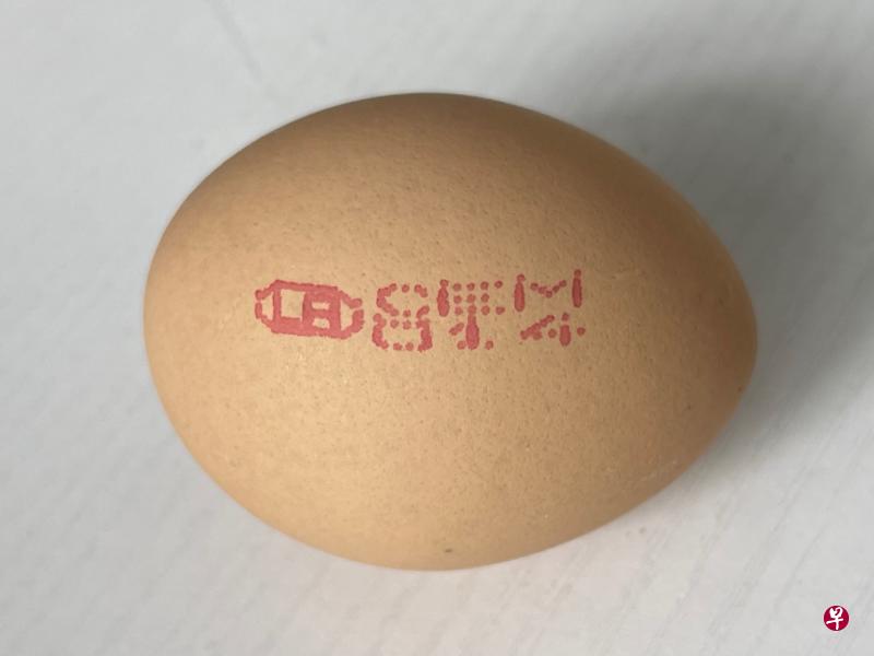 从马来西亚一家农场进口的鸡蛋被当局检验出含有肠炎沙门氏菌。(新加坡食品局提供) 从马来西亚一家农场进口的鸡蛋被当局检验出含有肠炎沙门氏菌。(新加坡食品局提供)
