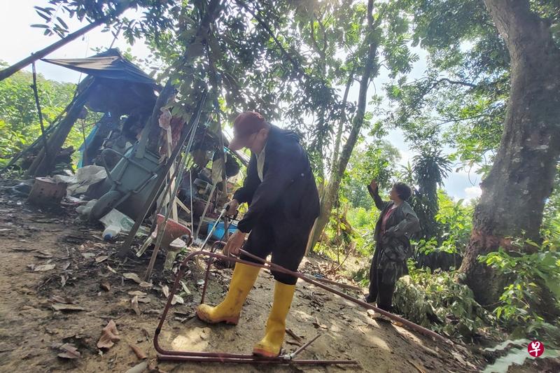七旬夫妇打造了个小农场，开垦荒地种植。（徐颖荃摄）