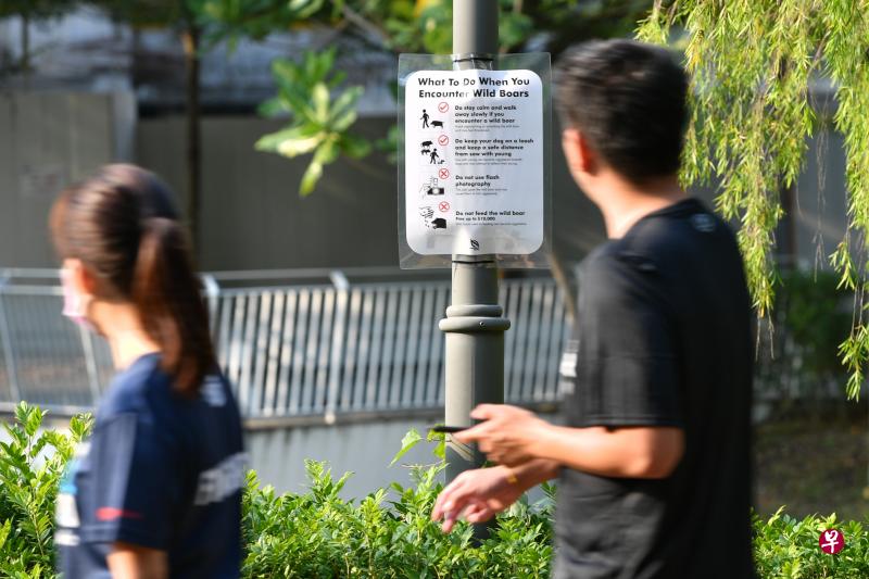 动物与人一样,需要空间。(海峡时报档案照) 动物与人一样,需要空间。(海峡时报档案照)