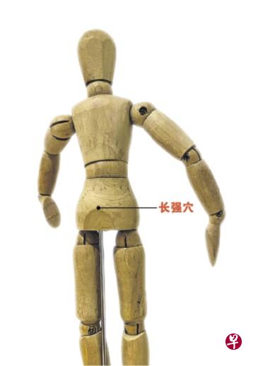 长期坚持按摩长强穴,能预防长痔疮。(档案示意图) 长期坚持按摩长强穴,能预防长痔疮。(档案示意图)