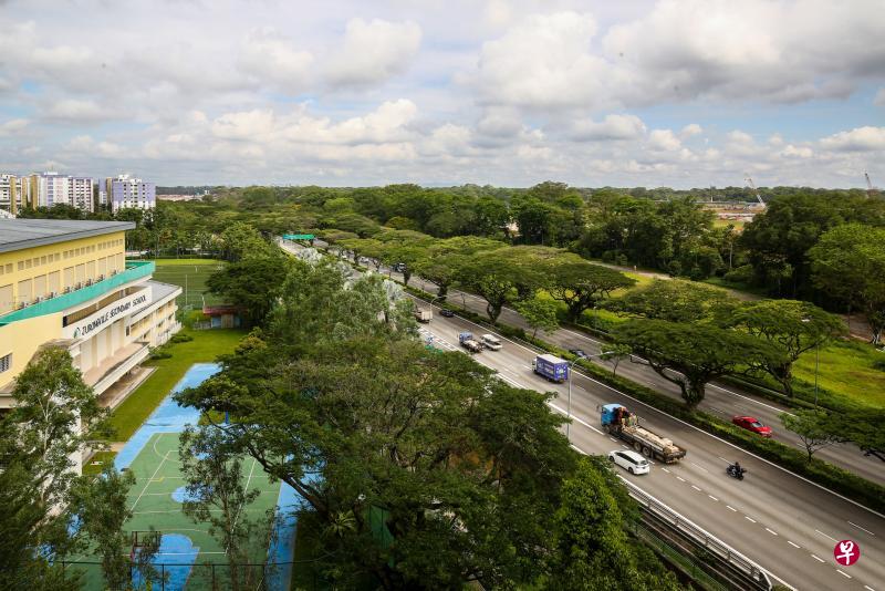 介于丰加立交桥和武吉巴督立交桥之间的PIE路段,明年中开始扩建时会把一些地方的路面垫高约0.5公尺,至1.5公尺,以达到该处的防洪标准。(陈斌勤摄) 介于丰加立交桥和武吉巴督立交桥之间的PIE路段,明年中开始扩建时会把一些地方的路面垫高约0.5公尺,至1.5公尺,以达到该处的防洪标准。(陈斌勤摄)