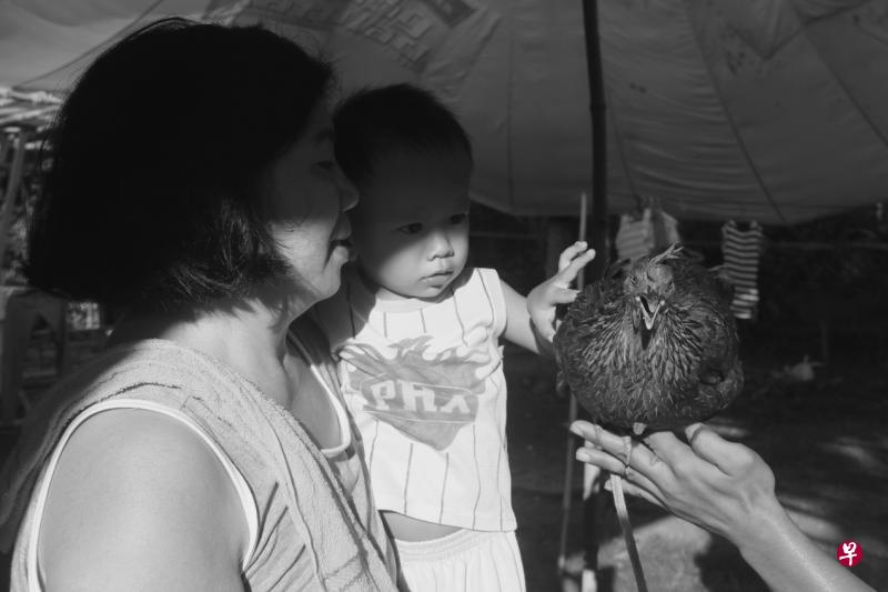 陈杰玲的作品立基于与保姆的岁月情深。 陈杰玲的作品立基于与保姆的岁月情深。