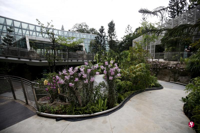 国家胡姬园内新增的热带高山胡姬展览馆4月3日由李显龙总理开幕。(陈渊庄摄) 国家胡姬园内新增的热带高山胡姬展览馆4月3日由李显龙总理开幕。(陈渊庄摄)