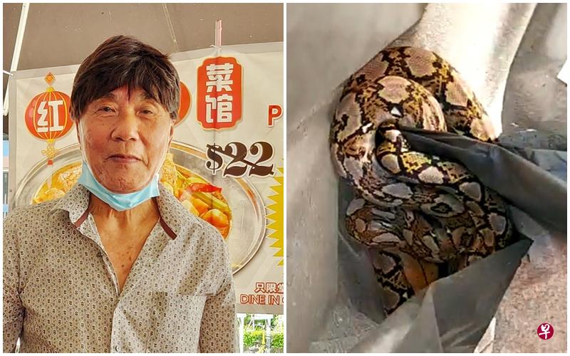 83岁的吴贵成赤手捉蛇。(受访者提供) 83岁的吴贵成赤手捉蛇。(受访者提供)